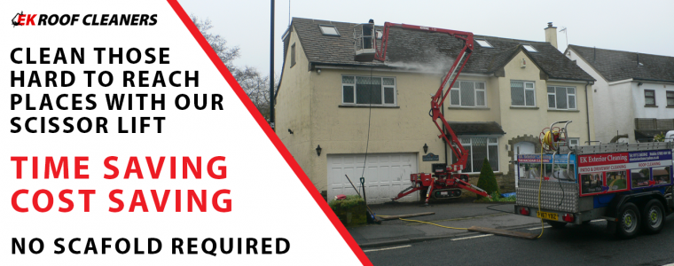 Roof Cleaning